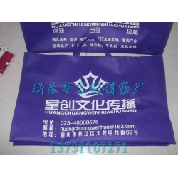 怒江傈僳族自治州定做无纺布宣传袋